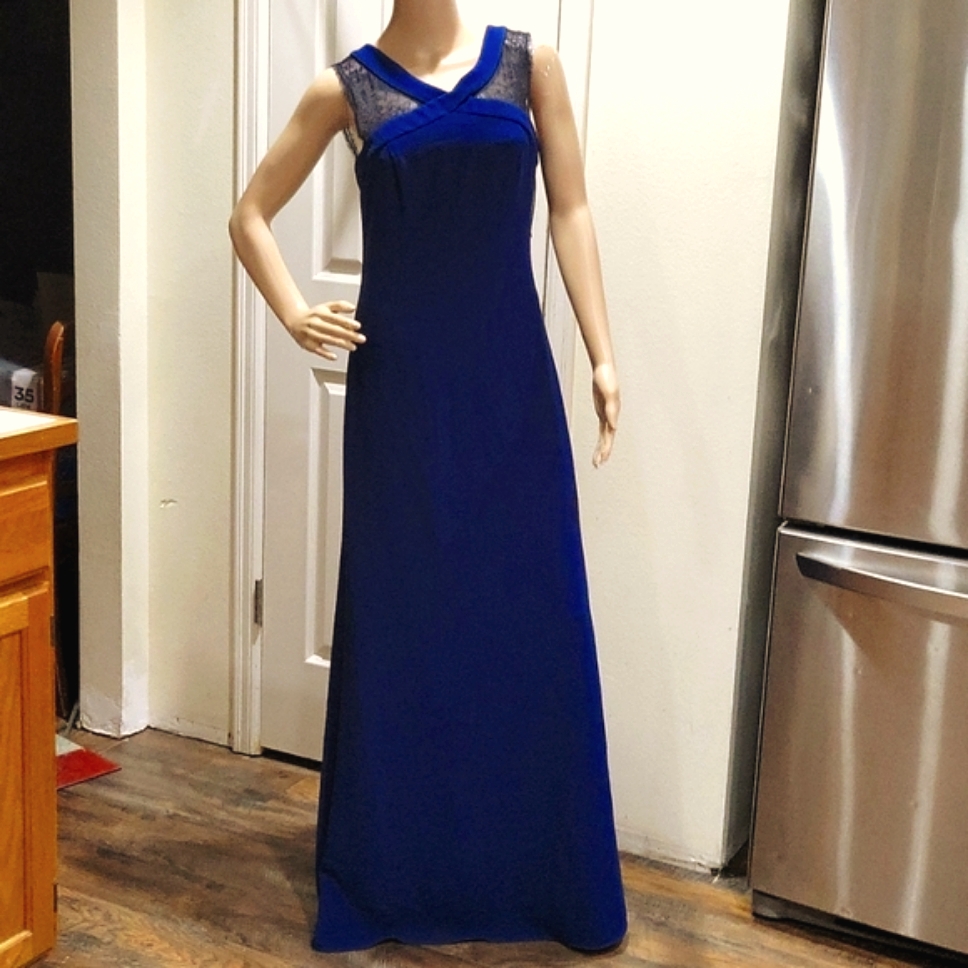Nwt Bcbg Maxazria Bue Depth Evans Floor Length Dress Gown